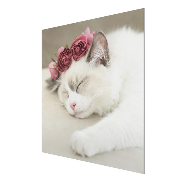 Animal wall art Sleeping Cat with Roses