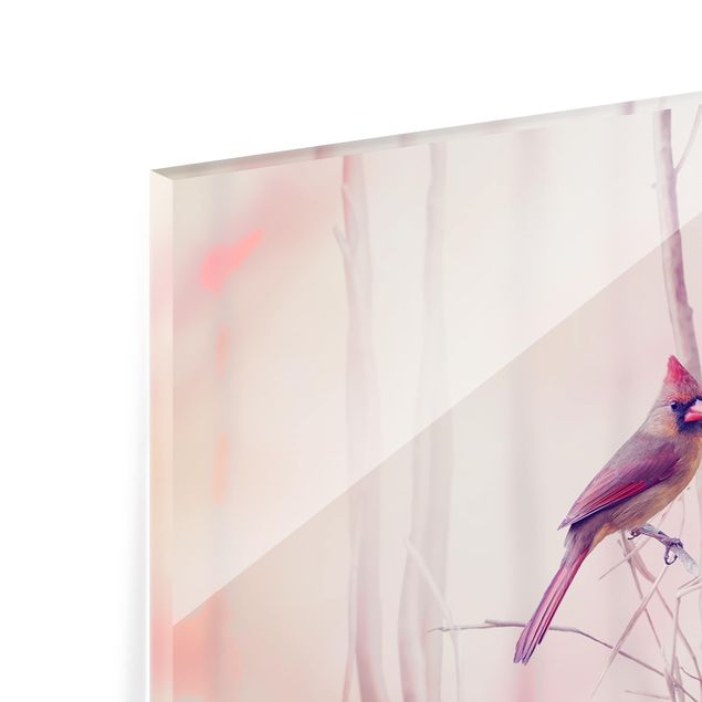 Glass Splashback - Birds on branches - Panoramic