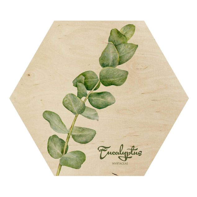 Wood photo prints Watercolour Botany Eucalyptus