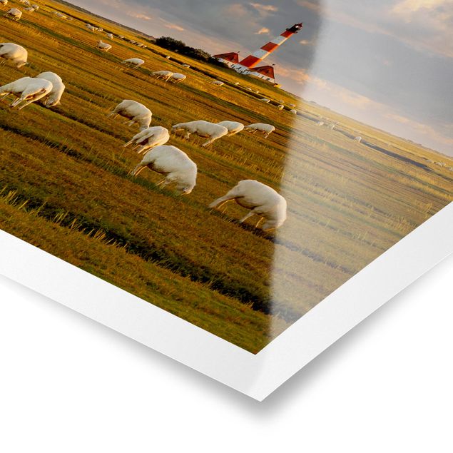Posters animals North Sea Lighthouse With Flock Of Sheep