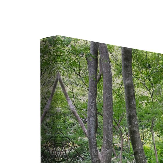 Green canvas wall art Growing Trees