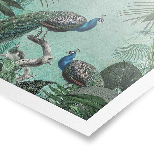 Turquoise canvas wall art Shabby Chic Collage - Noble Peacock