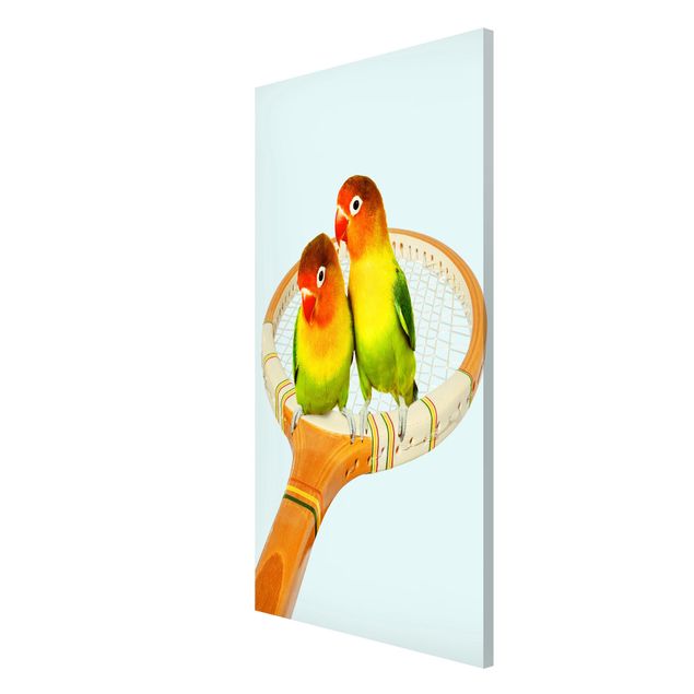 Magnet boards animals Tennis With Birds