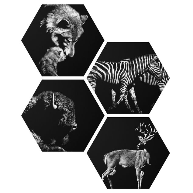 Animal canvas Wild Animals From Black Set II