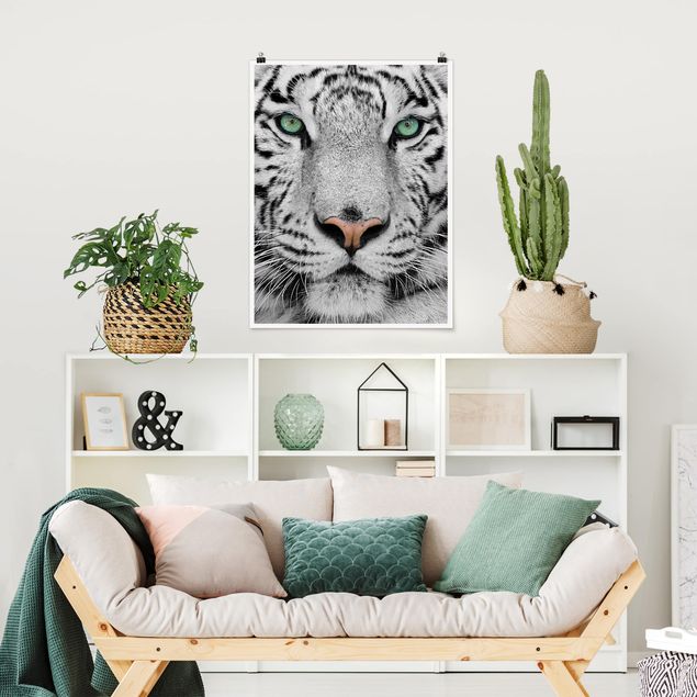 Tiger art print White Tiger