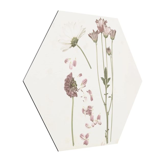 Prints flower Herbarium In Pink II