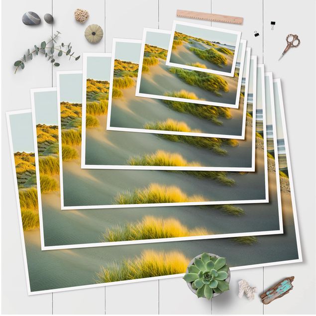 Contemporary art prints Dunes And Grasses At The Sea