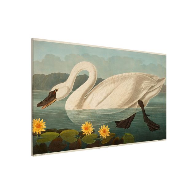 Kitchen Vintage Board American Swan