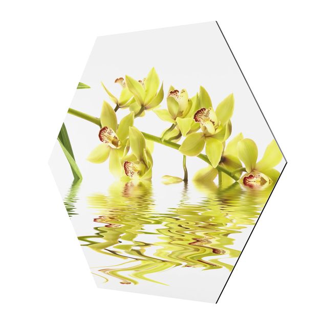 Prints Elegant Orchid Waters