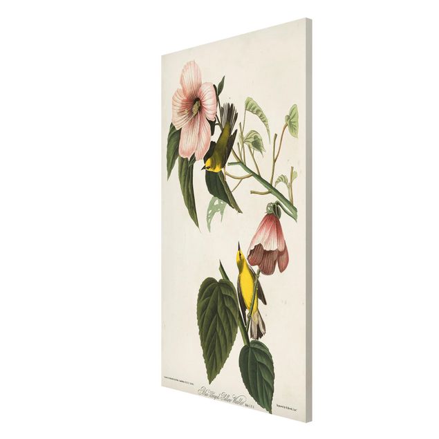 Flower print Vintage Board Warbler II