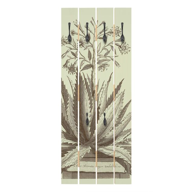 Wall mounted coat rack Vintage Aloe Serrata