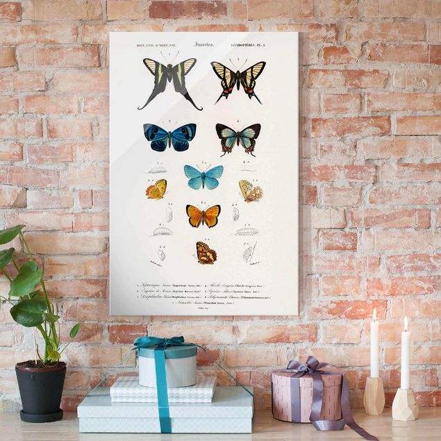 Kitchen Vintage Board Butterflies I