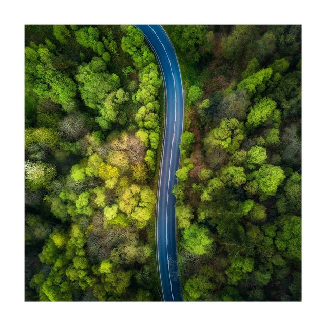 Forest rugs Aerial Image - Paved Road In the Forest