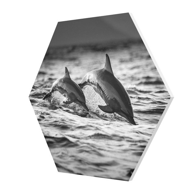 Prints black and white Two Jumping Dolphins