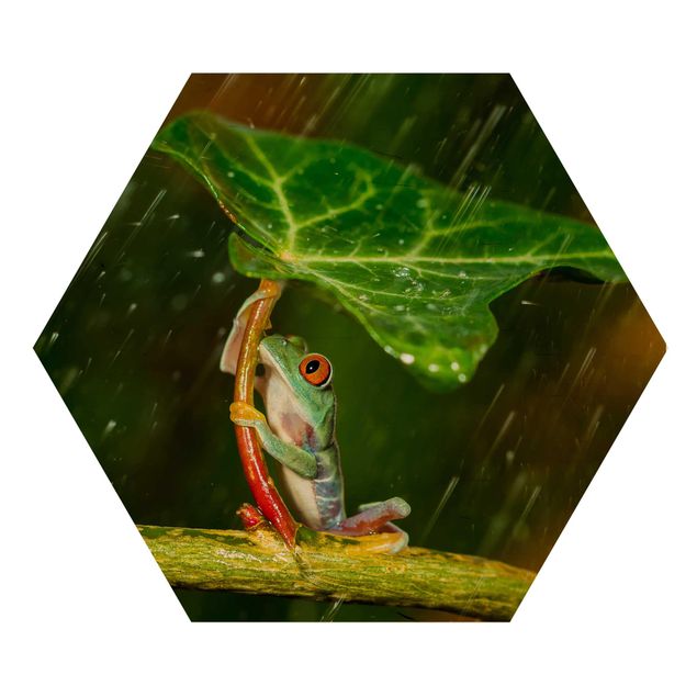 Wooden hexagon - Frog In The Rain