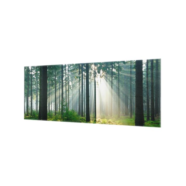 Glass Splashback - Enlightened Forest - Panoramic