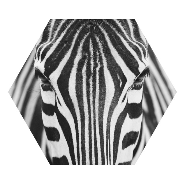 Prints patterns Zebra Look