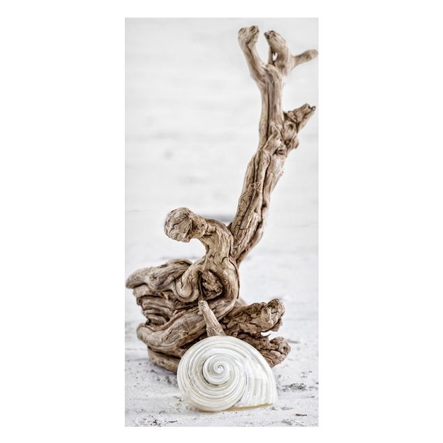 Prints landscape White Snail Shell And Root Wood