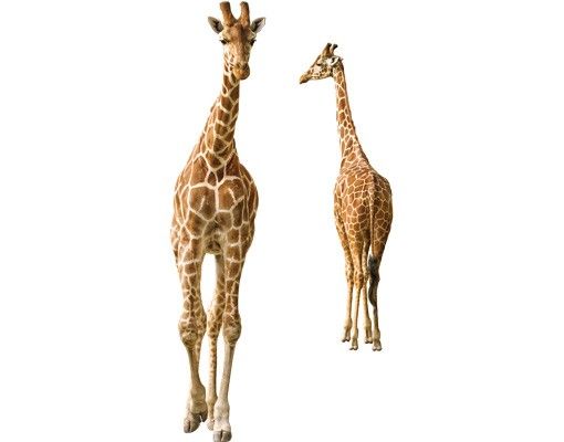 Window stickers animals Two Giraffes
