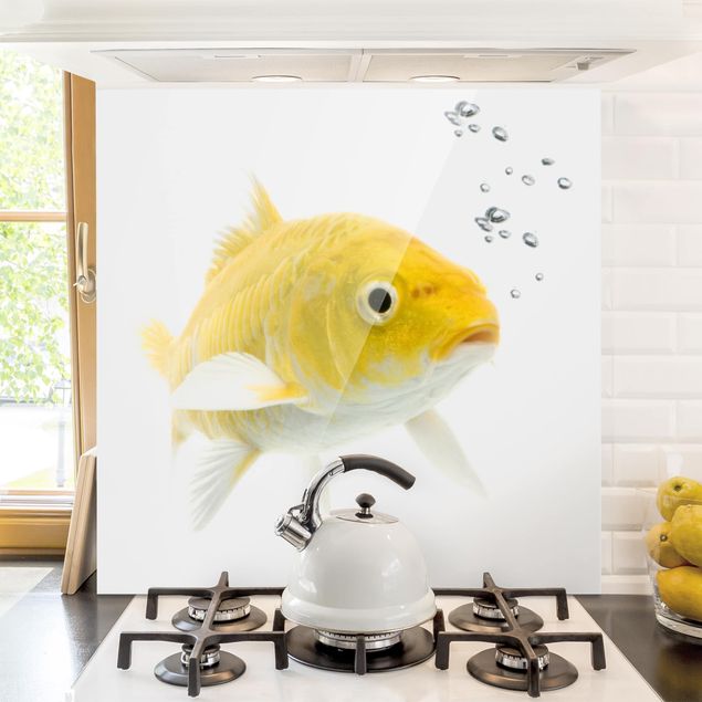 Kitchen Goldfish Yellow