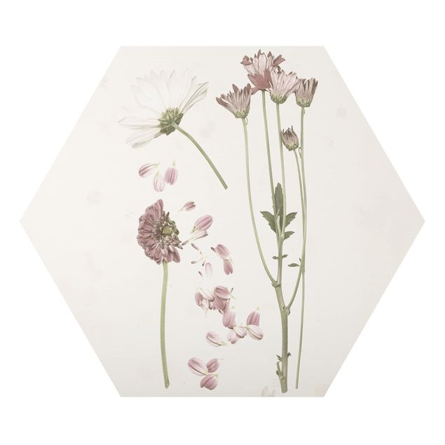 Prints Herbarium In Pink II