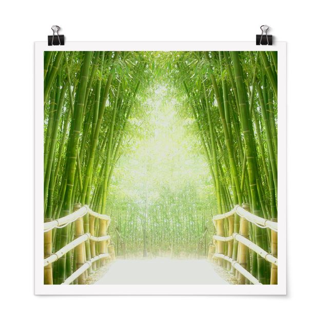 Trees on canvas Bamboo Way