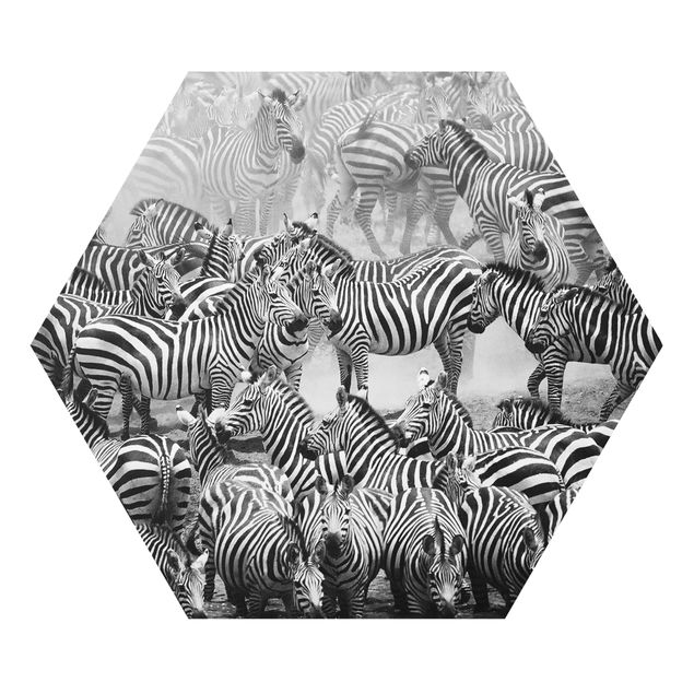 Prints africa Zebra herd II
