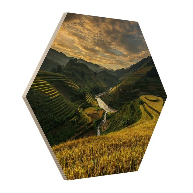 Wood photo prints Rice Plantations In Vietnam