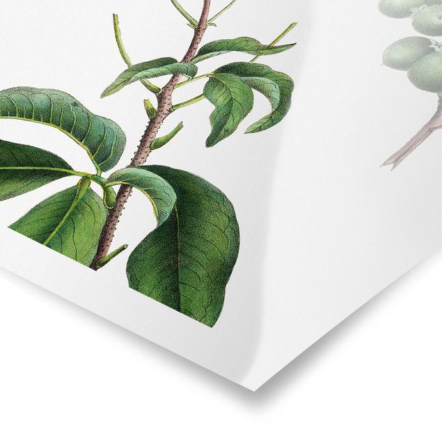 Prints green Foliage With Flowers II