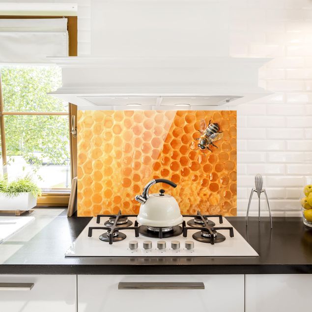 Glass splashback kitchen animals Honey Bee
