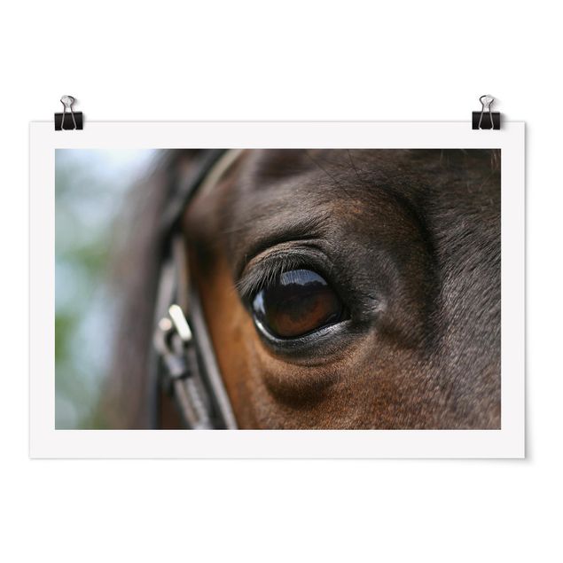 Prints modern Horse Eye