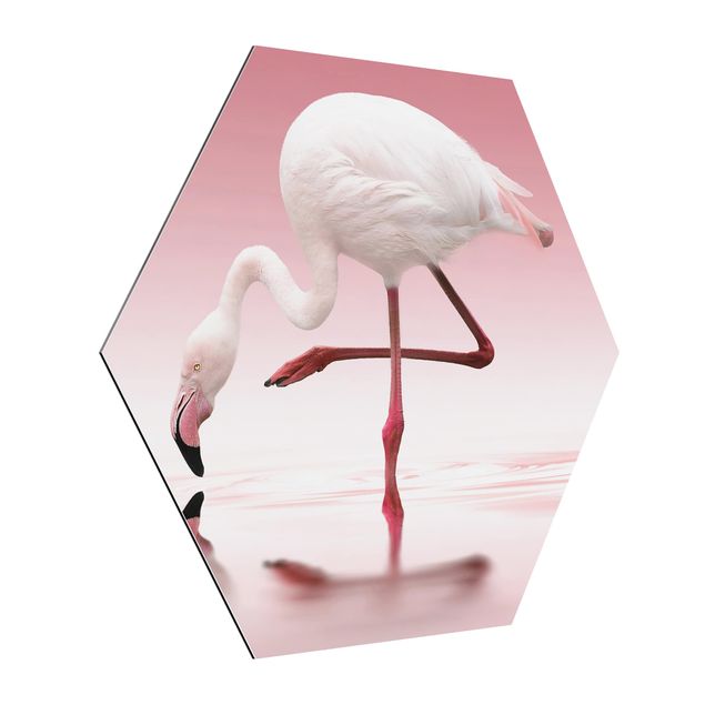 Feather canvas Flamingo Dance