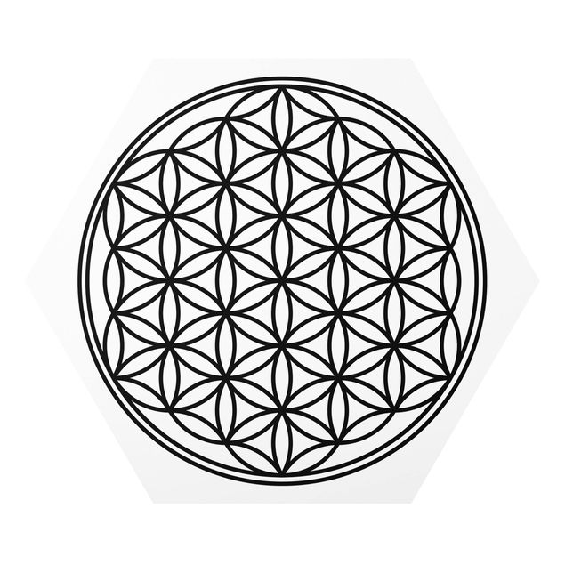 Forex photo prints Flower of Life