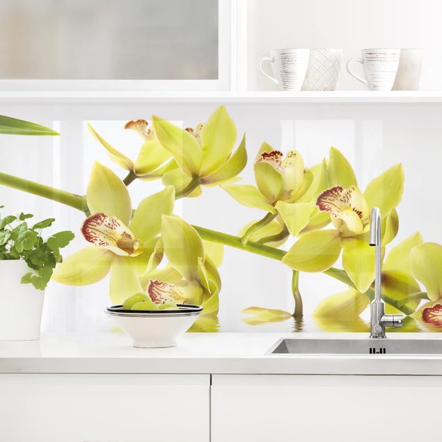 Kitchen splashback flower Elegant Orchid Waters