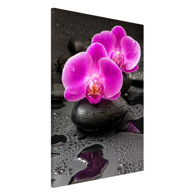 Kitchen Pink Orchid Flower On Stones With Drops