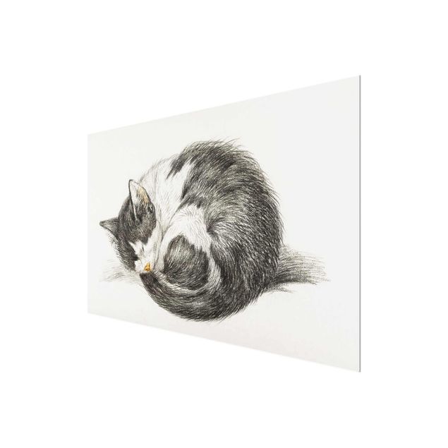 Black and white wall art Vintage Drawing Cat II