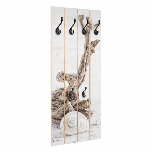 Wall coat hanger White Snail Shell And Root Wood