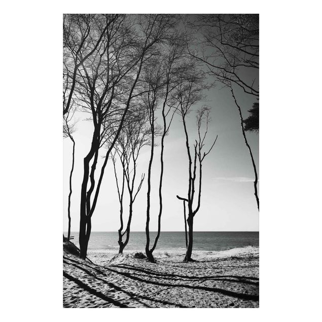 Prints landscape Trees At the Baltic Sea