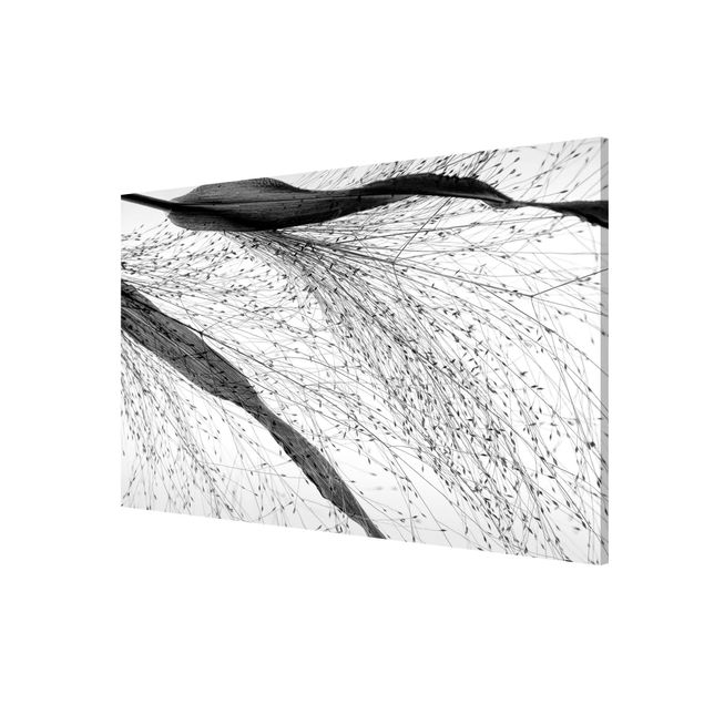 Flower print Delicate Reed With Subtle Buds Black And White