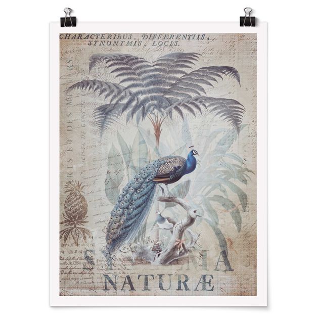 Vintage wall art Shabby Chic Collage - Peacock