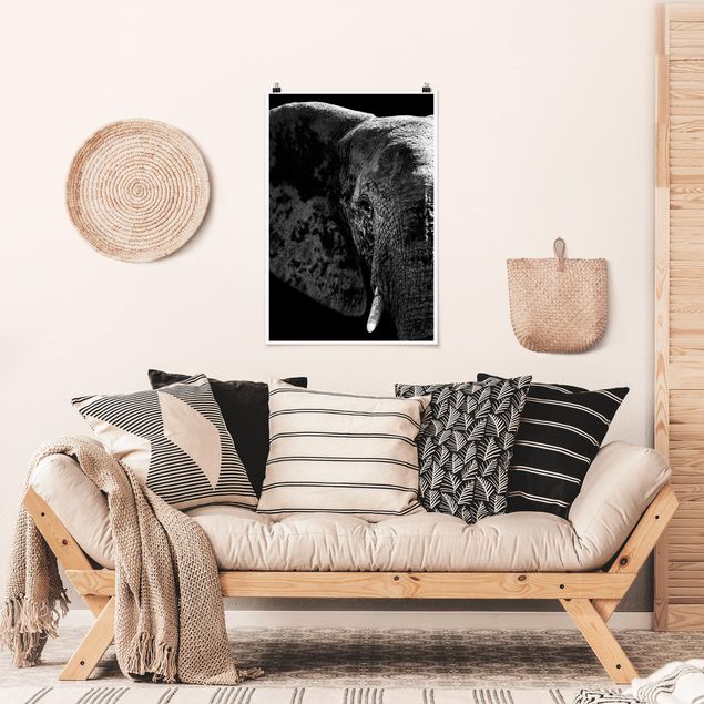 Animal canvas African Elephant black and white