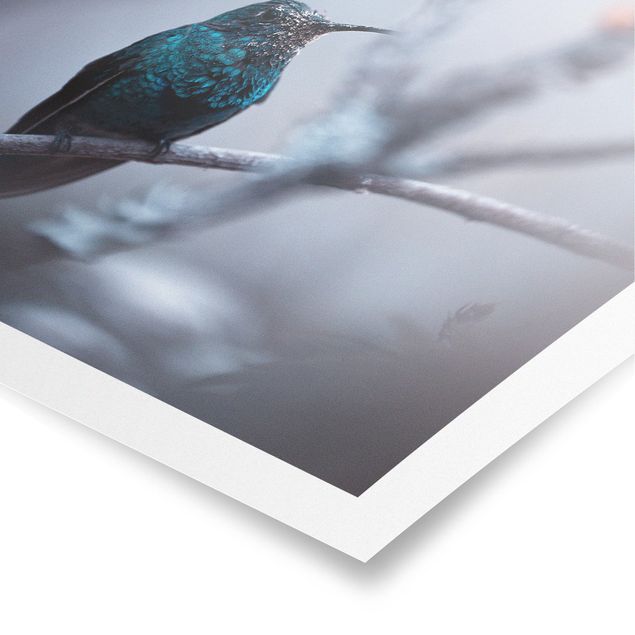 Posters animals Hummingbird In Winter