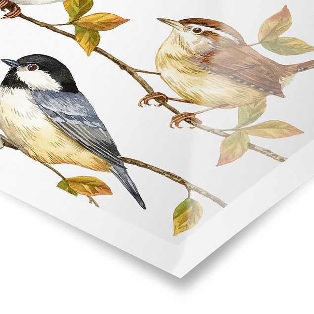 Poster print Birds And Berries - Tits