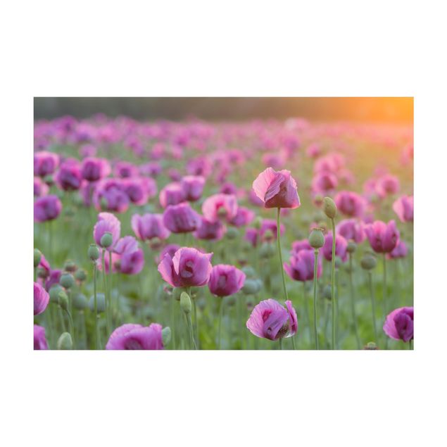 floral area rugs Purple Poppy Flower Meadow In Spring
