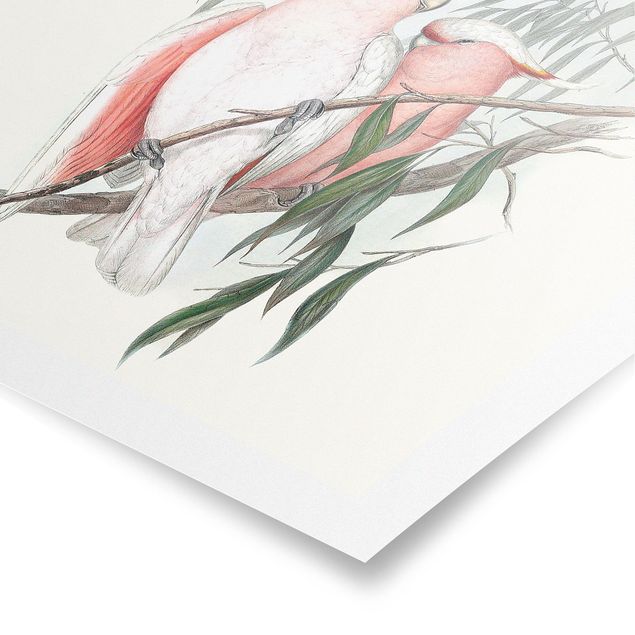 Retro prints Pastel Parrots I