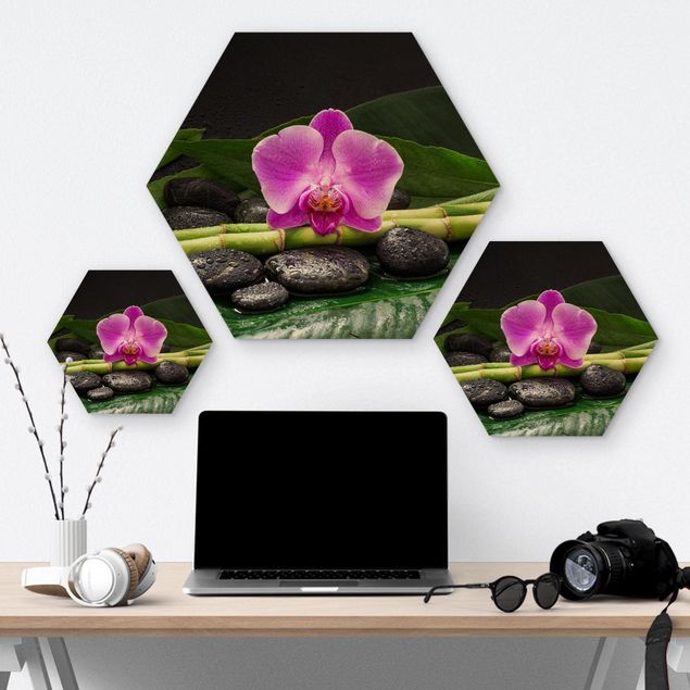Prints Green Bamboo With Orchid Blossom
