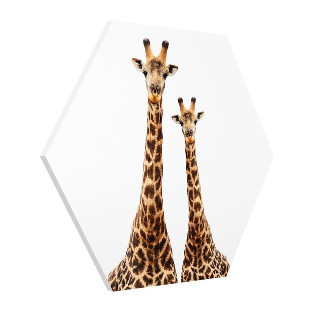 Modern art prints Portait Of Two Giraffes