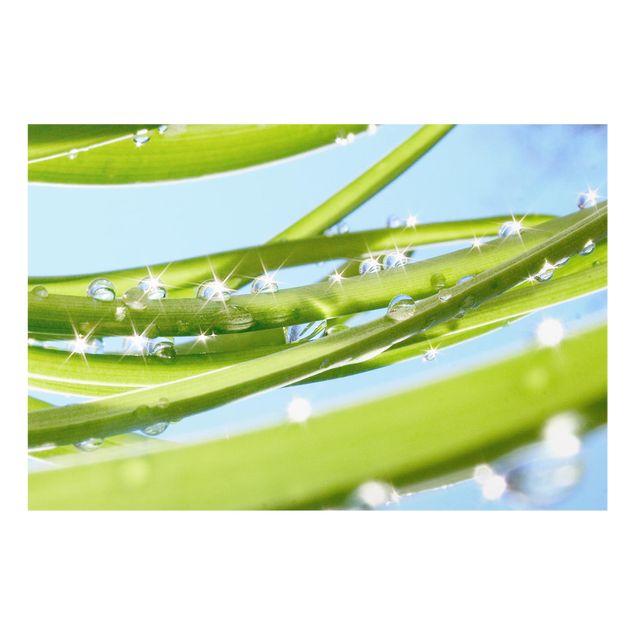 Glass Splashback - Fresh Green - Landscape 2:3