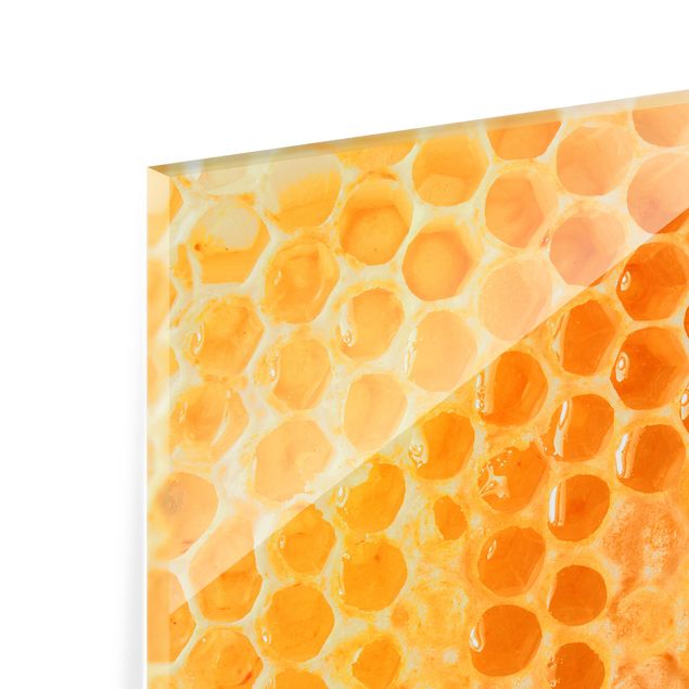 Glass Splashback - Honey Bee - Landscape 2:3