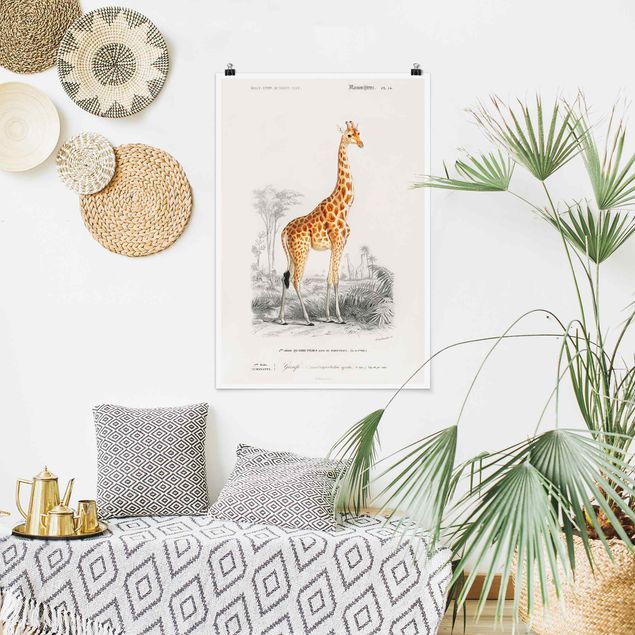 Giraffe print Vintage Board Giraffe